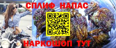 тгк Сланцы