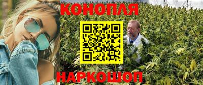 дживик Славгород