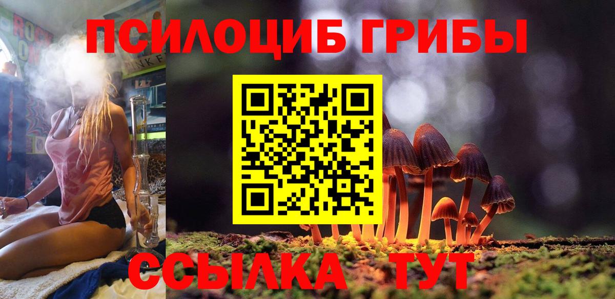 Псилоцибиновые грибы прущие грибы  Галлюциногенные грибы Cubensis  Вход с VPN  наркошоп  Новокубанск 